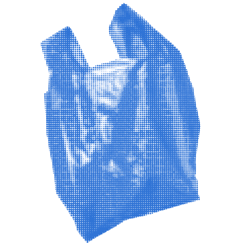 Carrier Bag
