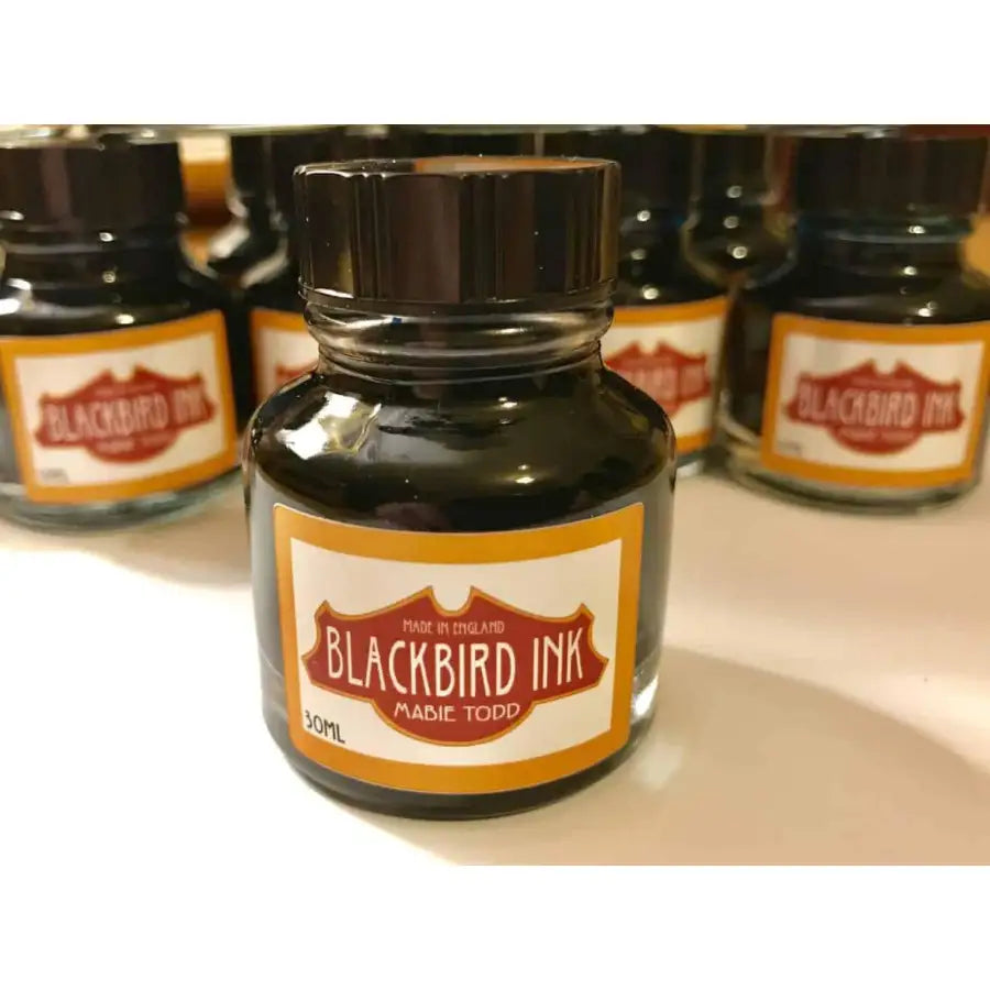 Robin Red Fountain Pen Ink - Fast shipping