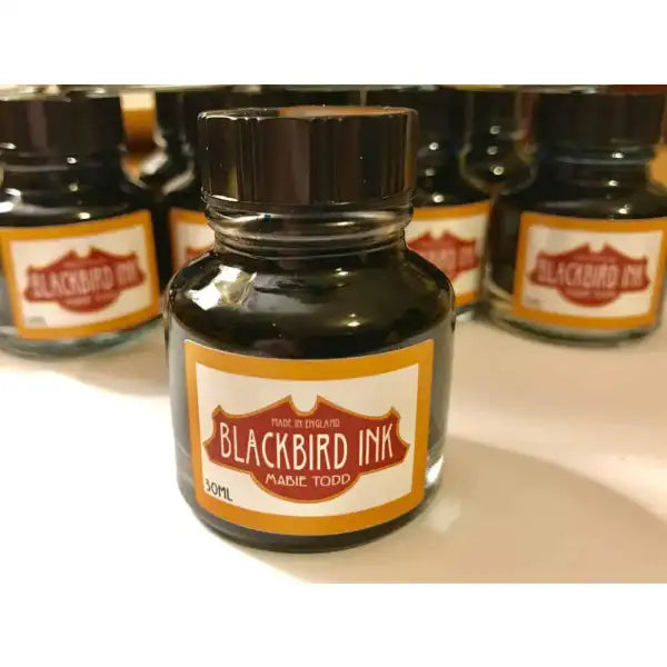 Robin Red Fountain Pen Ink - Blackbird - A premium quality red fountain pen ink by Ink, from the home of Mabie Todd.