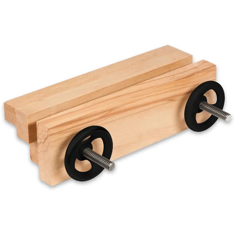 Axminster Professional Vices Moxon Vice Complete - vice - Fast shipping