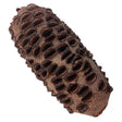 Banksia Seed Pods - Wood Native to southwestern Australia and found on trees from the genus. Although numerous species
