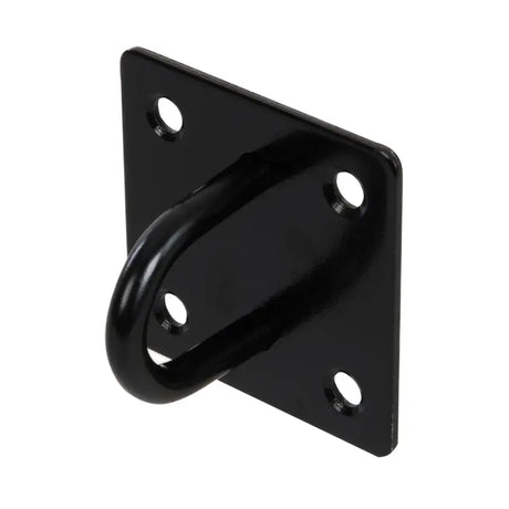 Fixman Chain Plate Black Ring 50mm x - Fast shipping