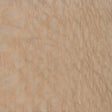 Lacewood Bowl Blanks (Round) - Has a very conspicuous flecking that gives this wood its namesake. The itself is reddish