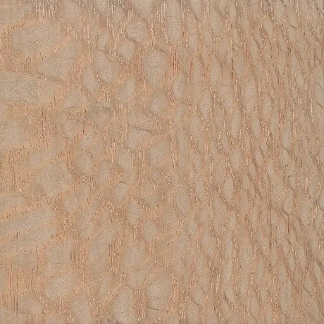 Lacewood Bowl Blanks (Round) - Fast shipping