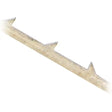 Reverse Tooth Plain End HSS 8 tpi Scroll Saw Blades - Record Power - 12 Pack - These plain end blades feature a reverse