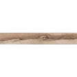 Spalted Beech Wood Pen Blank - 5 Pack - 1 - Blanks - Fast shipping