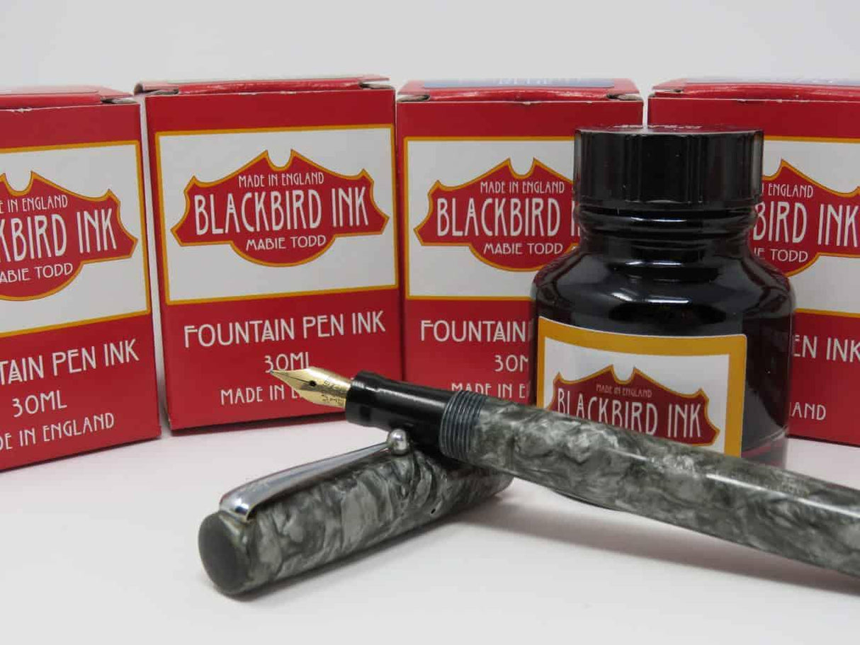 Robin Red Fountain Pen Ink Blackbird Ink